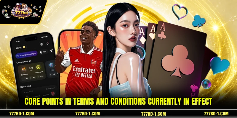 Core points in Terms and Conditions currently in effect